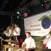 steinfeld-2011-0048