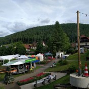 heidelbeerparty-enzkloesterle-2017-07-15-01